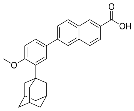 project-details
