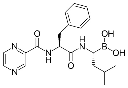 project-details
