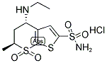 project-details