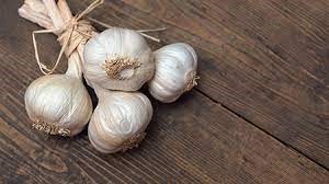 Garlic