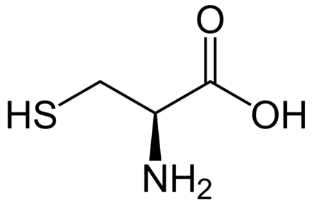 project-details